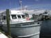 tarpon springs